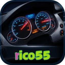 rico55